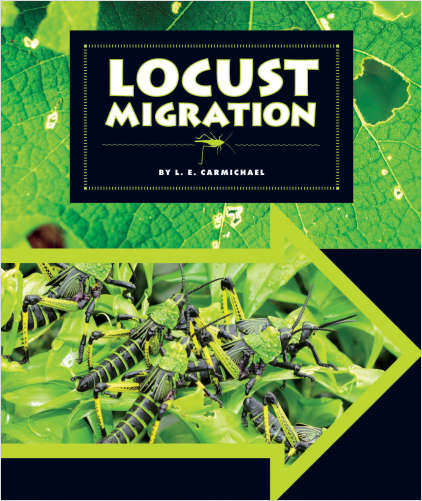 Locust Migration