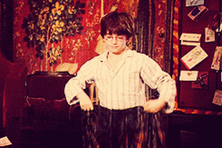 Harry Potter puts on invisibility cloak