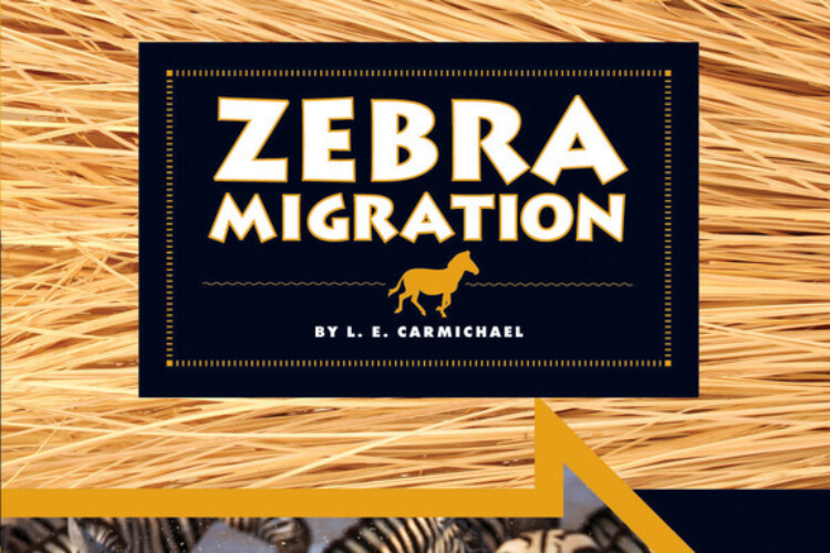 Zebra Migration by L.E. Carmichael