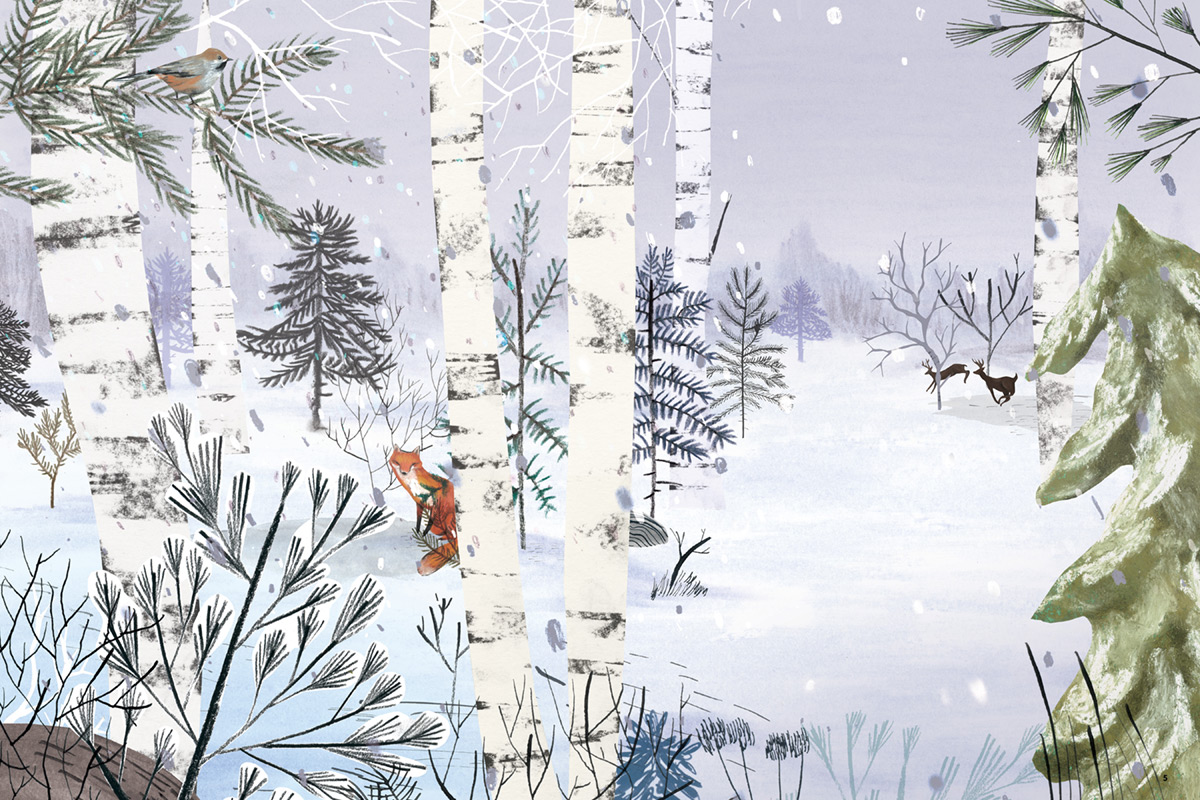 The Boreal Forest, illustration by Josée Bisaillon