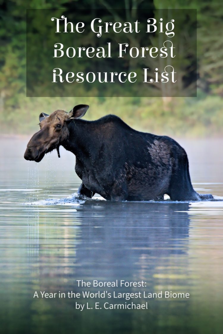 Moose are an iconic species of the boreal forest. This list of resources will support learning in the classroom and at home.