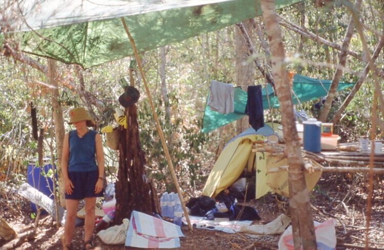 Rina Nichol's base camp in Madagascar