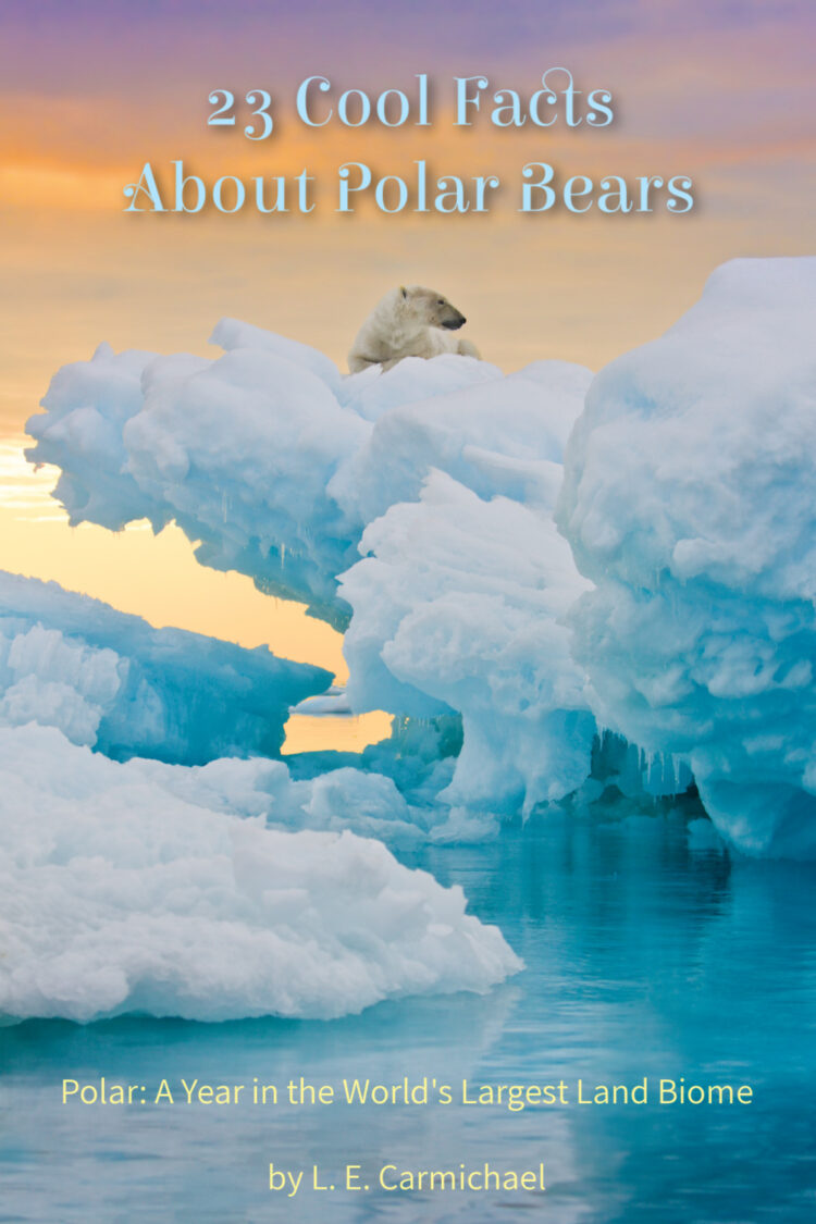International Polar Bear Day - February 27 2023