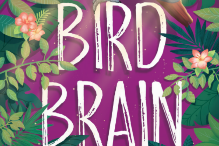 Cover of Bird Brain by Joanne Levy