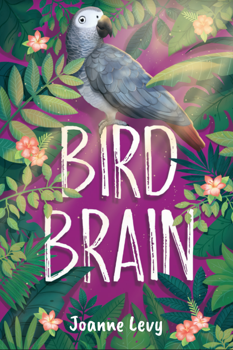 Cover of Bird Brain by Joanne Levy